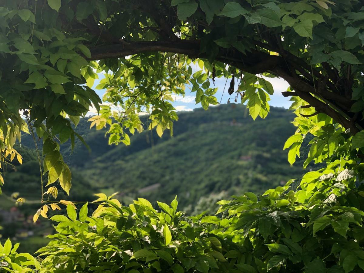 Tenuta Pian D'Attesio - Agriturismo Castelletto Soprano 외부 사진