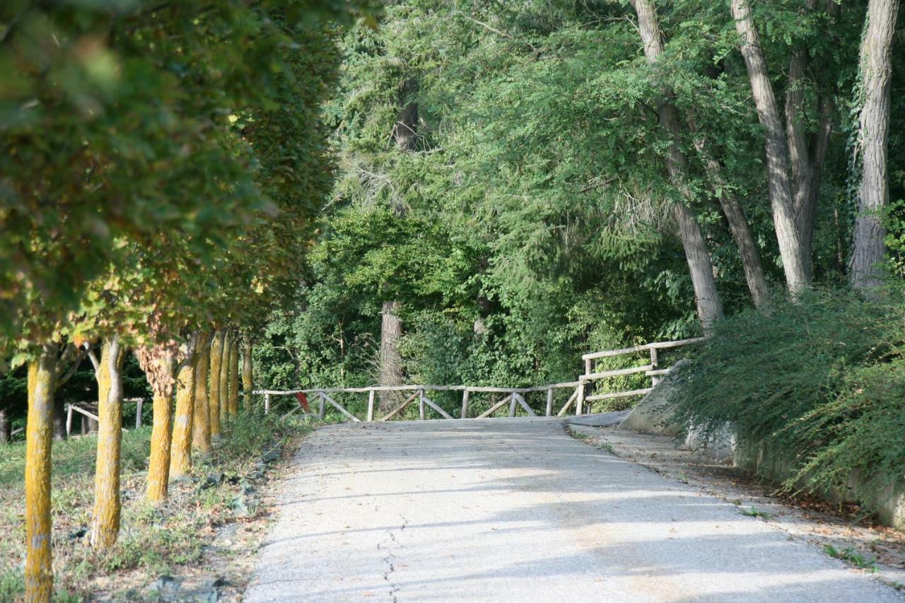 Tenuta Pian D'Attesio - Agriturismo Castelletto Soprano 외부 사진