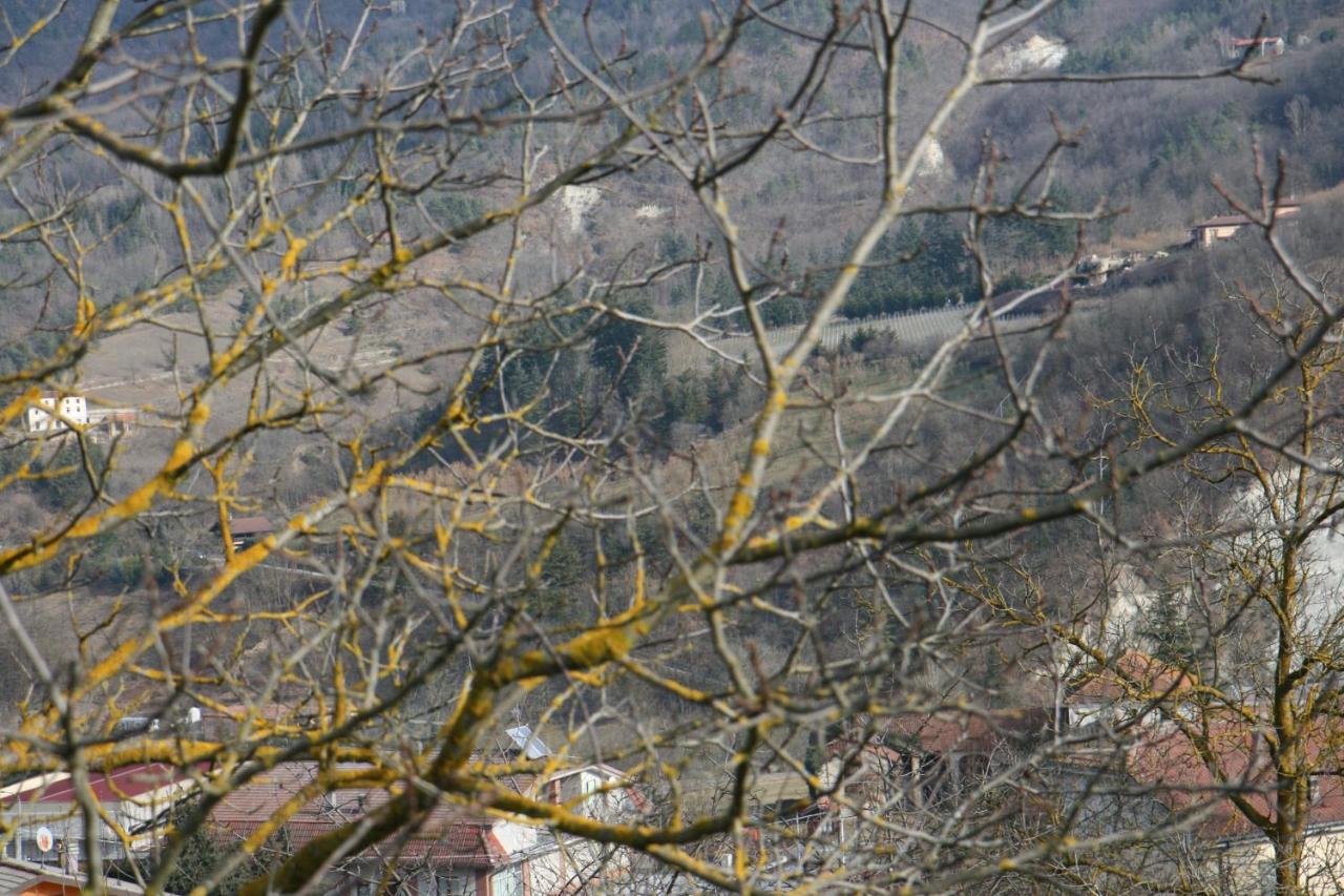 Tenuta Pian D'Attesio - Agriturismo Castelletto Soprano 외부 사진